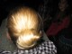 Thumbs/tn_Jahresabschlussfeier_MSV_Buna_2012 (84).jpg